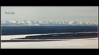 My Life In Arctic (65) -Yellowknife and Norman Wells from air