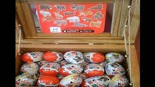 Волшебный сундук с сокровищами. #Киндер Сюрпризы.#Kinder Surprise Animal Planet