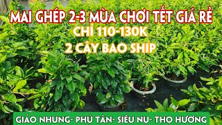 16/08. Mai Ghép 2-3 Mùa Giá Rẻ Chơi Tết, Bao Ship Toàn Quốc.☎0971.118.064