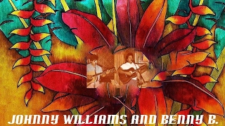 Wahine Ilikea - John Williams Jr and Benny B