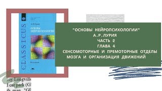 «Основы нейропсихологии» А.Р.Лурия. Прямой эфир 6