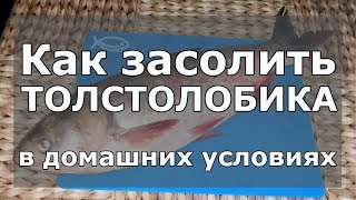 🐟 Как быстро засолить толстолобика кусочками в домашних условиях и чтобы мясо было вкусное и мягкое