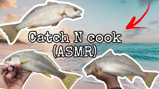 Dockweiler beach fishing | ASMR catch and cook