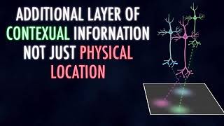 Place cell sensitivity to contextual information