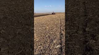 1566 plowing