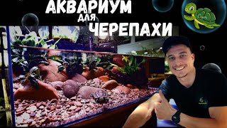 АКВАРИУМ ДЛЯ ЧЕРЕПАХИ | TURTLE TANK | TUTORIAL