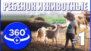 Ребенок и Животные. Панорамное видео (360˚).