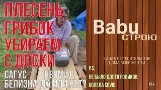 Плесень грибок убрать с доски | Cагус отбеливатель для древесины | Белизна для дерева?