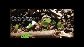 Trop Talk - Tropical Biology in Costa Rica Summer 2017