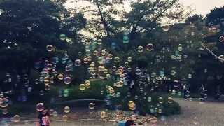 Bubbles