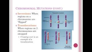 Chromosomal Mutations