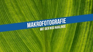 ⁴ᴷMakrofotografie mit der Nahlinse von Nisi (Review + Rabatt)