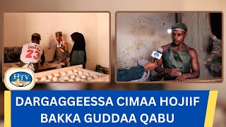 Dargaggeessa cimaa hojiif bakka guddaa qabu