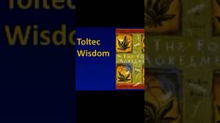 The Toltec Warrior: An Artist Of Life