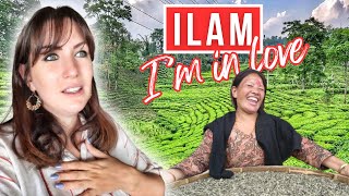 Ilam The Queen of Hills | In love with East Nepal