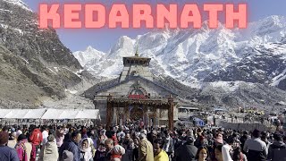 KEDARNATH TEMPLE Darshan | First time in 4K Video |#kedarnath #kedarnathtemple #kedarnathdham #shiv