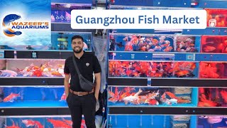 Guangzhou China Aquarium Fish Market