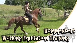 Kommentiertes Training in der Working Equitation vor unserem 1. Turnier