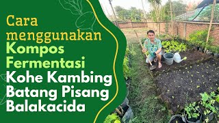 Tutorial Cara Menggunakan Kompos Fermentasi | Ilmu Petani Jepang