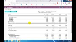 odoo Accounting Report