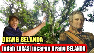 ORANG BELANDA - POHON KERAMAT DAN TEMPAT INI JADI INCARAN