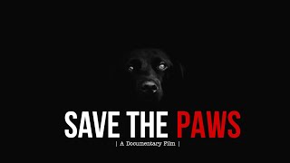 SAVE THE PAWS ( A Documentary Film )