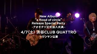 【新メンバー加入の瞬間】a flood of circle 8th Full Album「a flood of circle」