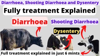 diarrhoea treatment in cattle | shooting diarrhoea in cattle | dysentery treatment for dogs.