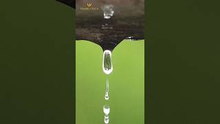 WATER DROP|| #song #music #tamil #rap #trendingshorts