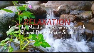 Real nature sound for relaxing, healing stress, healing insomnia, healing nervous system (ASMR)