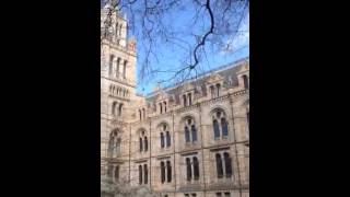 The Natural History Museum-London