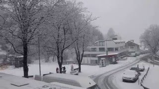 Snow Fall at Igls