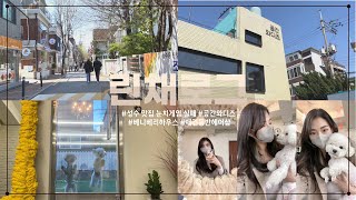 일상 Vlog l 성수맛집, 눈치게임 실패, 공간와디즈, 시장조사, 베니베리하우스, 애견동반헤어샵