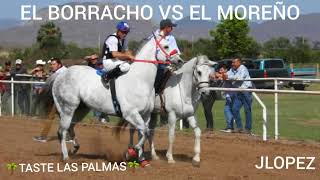 EL BORRACHO VS EL MOREÑO EN TASTE LAS PALMAS