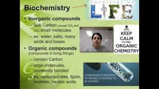 Ch. 2B - Biochemistry