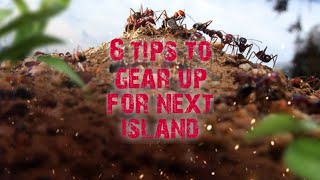 6 tips to do between islands!〡The Ants: Underground Kingdom