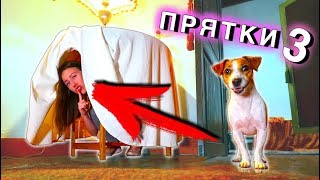 ИГРАЕМ в ПРЯТКИ В Доме Призраке с Собакой Джиной | Elli Di Pets