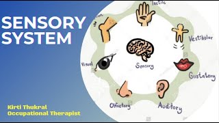 Sensory System || Occupational Therapy || Kirti Thukral