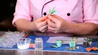 How to Paint Sugar Paste Leaves | Sugar Flowers