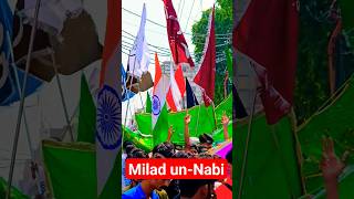 Milad un-Nabi | Milad un-Nabi Mubarak | Milad un Nabi Status #milad #milad_status #miladunnabi2023