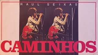 07   Metamorfose Ambulante 1986   Raul Seixas   Caminhos