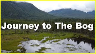 Journey to The Bog