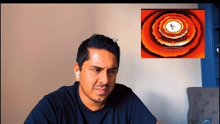 Stevie Wonder reaction video 🎶 have a talk with god 🎹