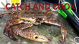 BAREHANDED! CATCH AND COOK BLUE SWIMMER CRAB! HOW TO CATCH YOURSELF