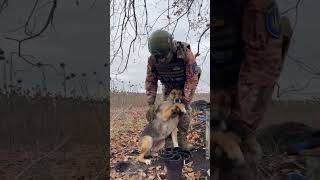 #yiutubeshort Які милі #воїни та їхні маленькі друзі #dog