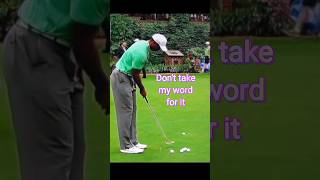 Putt better NOW! #golf #tigerwoods #putting #puttingdrills #viral #trending #golfingirls