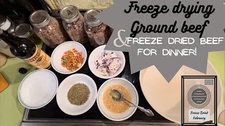 Freeze drying ground beef & cooking with freeze dried food!