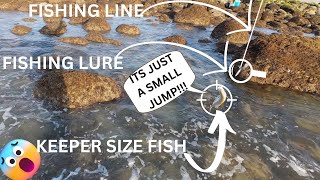 Catch or Lose? The Real Difference in Landing a Keeper Fish by Hand!