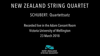 Schubert  - Quartettsatz (complete live performance)