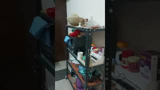 வீடு காட்டப்போறேன்|My Home Tour #reels #shorts #hometour Mini home tour #home#tour#tamil #bangalore